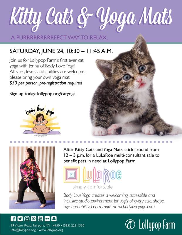 18880238_10155535581334873_2417926833535065906_o